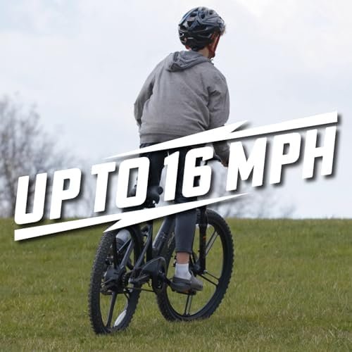 Chameleon Electric Bike: Must-Have Adventure for Kids! - Image 4